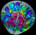 Computational Fluid Dynamics