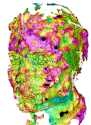 Computational Fluid Dynamics