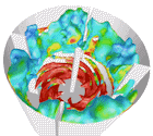 Computational Fluid Dynamics